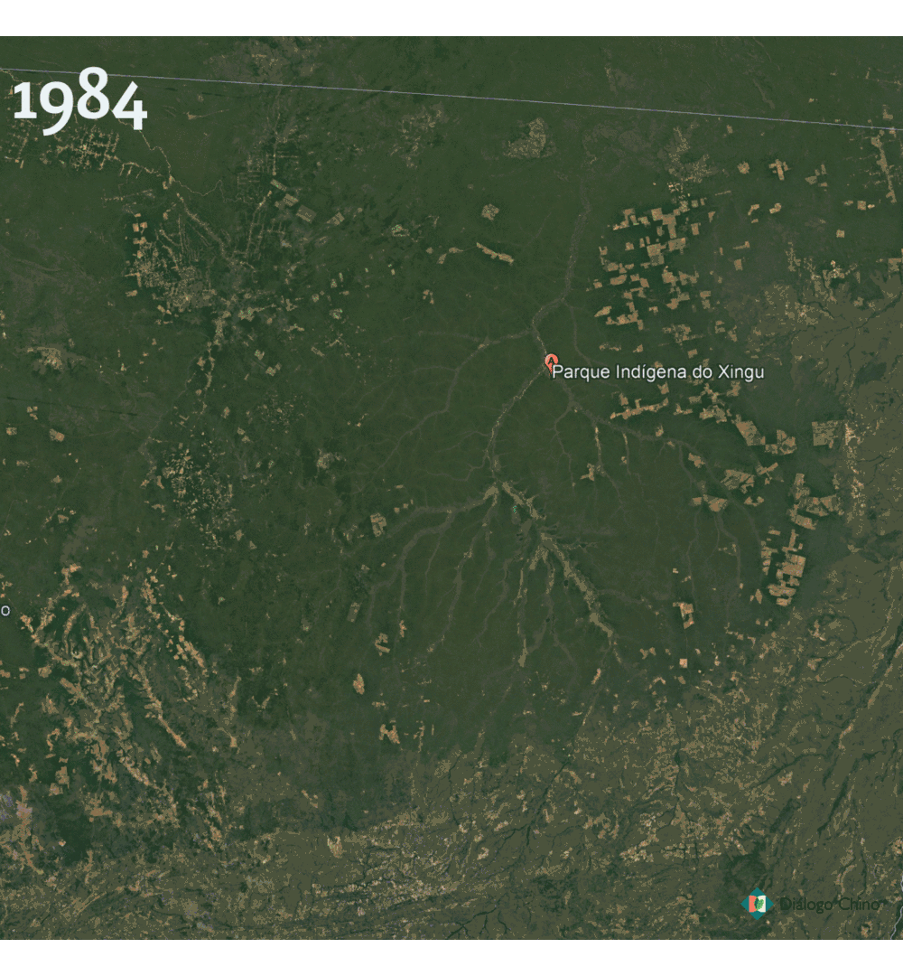 Crop cultivation is growing ever closer to the Xingu reserve