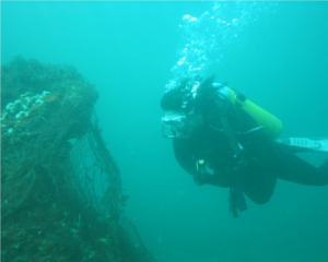 A scuba diver near Churna Island, Pakistan