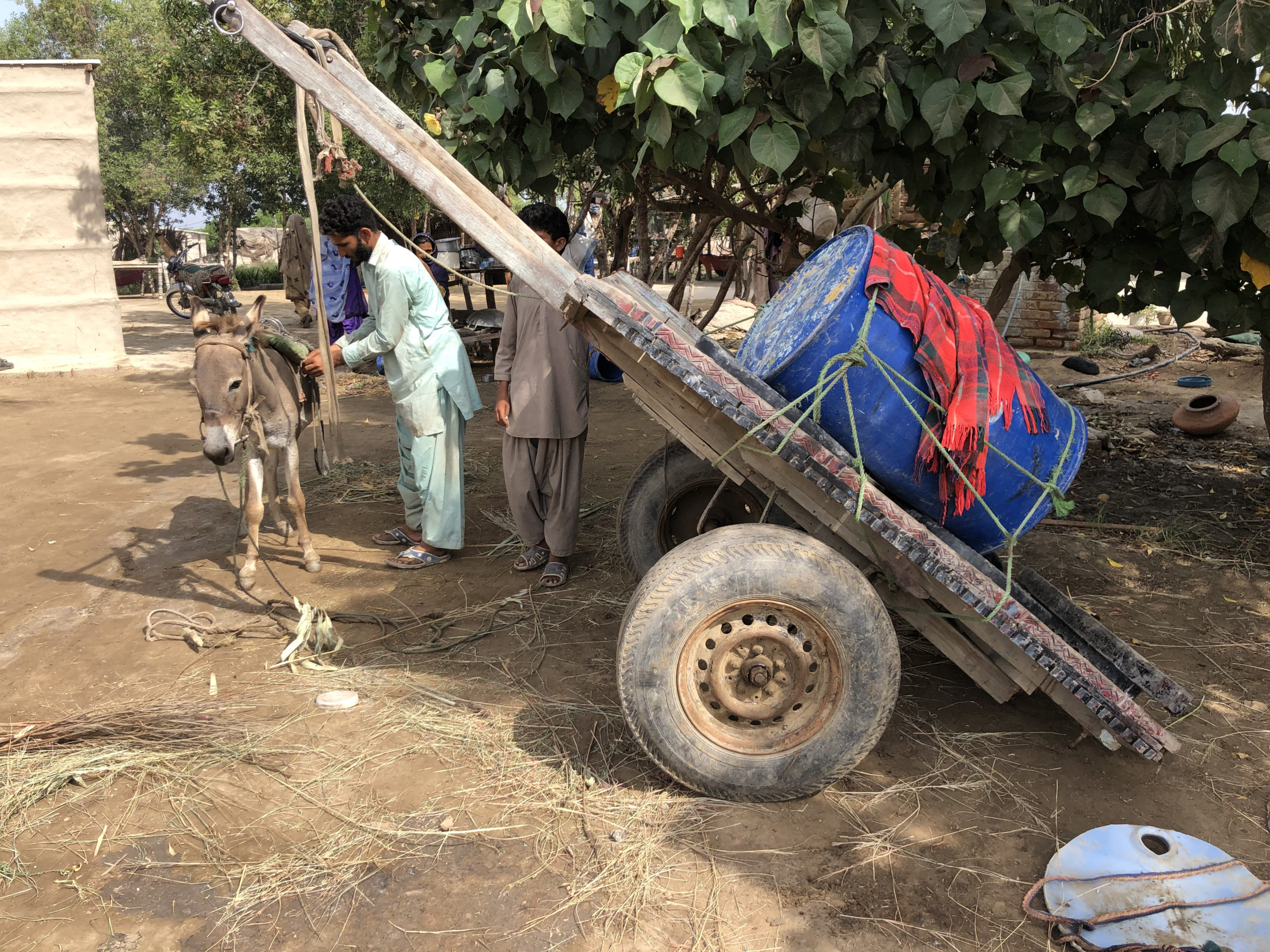 Pakistan Sindh water shortage pollution salinity
