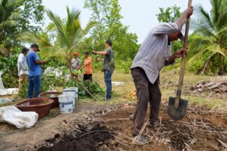 Personas trabajando con plantas y tierra