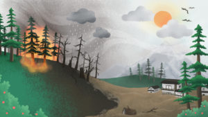 Forest fires in the Himalayas