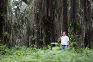 man looking up in forest clearing