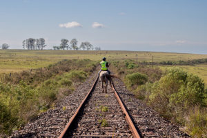 Man riding horse on train tracks