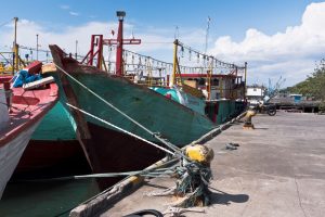 Fishing vessels tied up along harbour