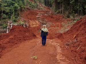 A woman stands on a dirt road, with trees in the background